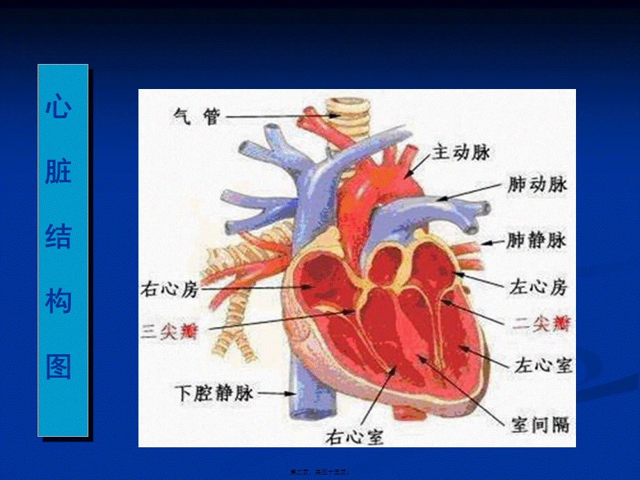 冠心病-2.pptx_第2页