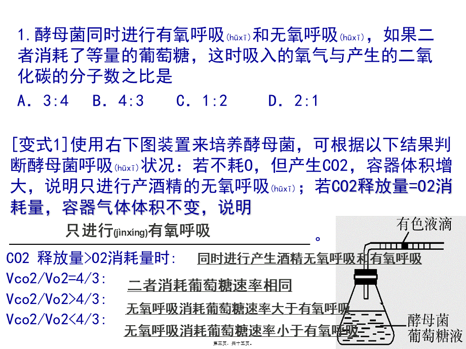 2022年医学专题—细胞呼吸及光合作用.ppt_第3页