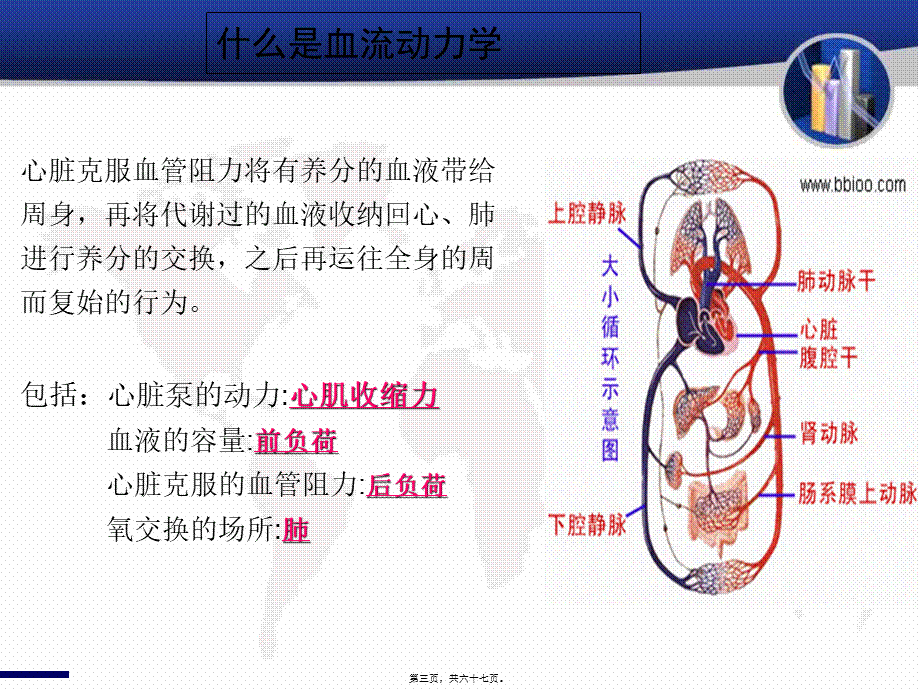 PiCCO在重症患者中的应用.pptx_第3页