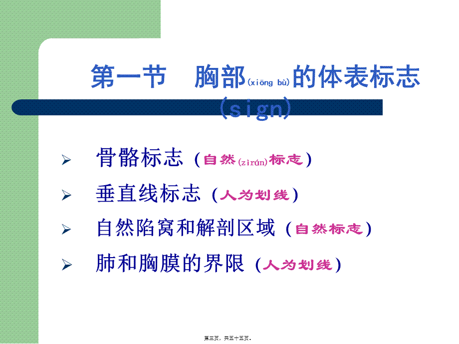 2022年医学专题—胸部体检(第一、二节).ppt_第3页