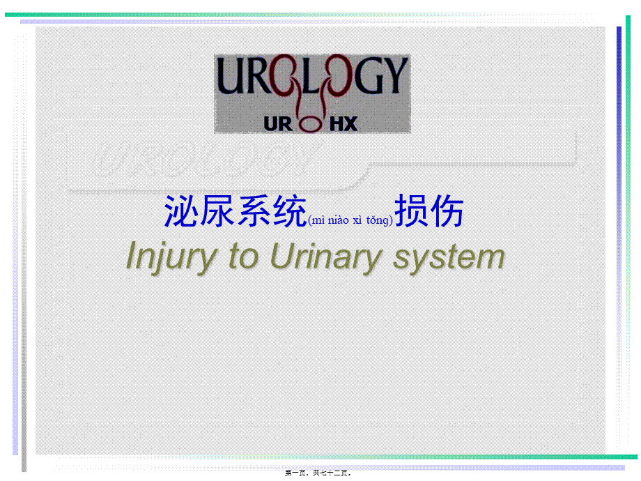 2022年医学专题—泌尿损伤5.ppt_第1页