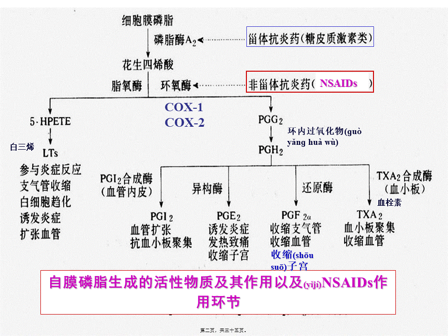 2022年医学专题—第十六篇-解热镇痛抗炎药.ppt_第2页