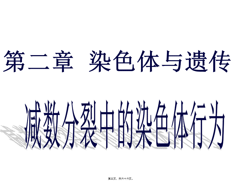 唐氏综合症是人类最常见的一种染色体病.pptx_第3页