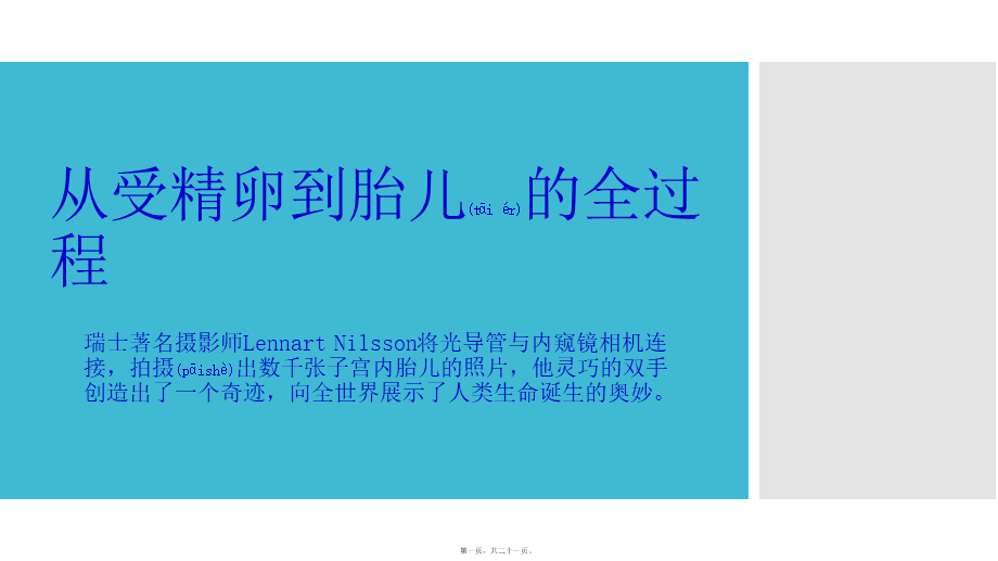 2022年医学专题—从受精卵到胎儿的全过程.pptx_第1页