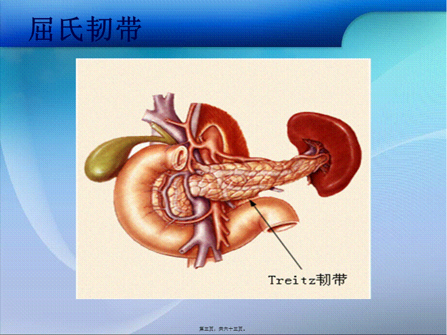 上消化道出血的诊治概要.pptx_第3页