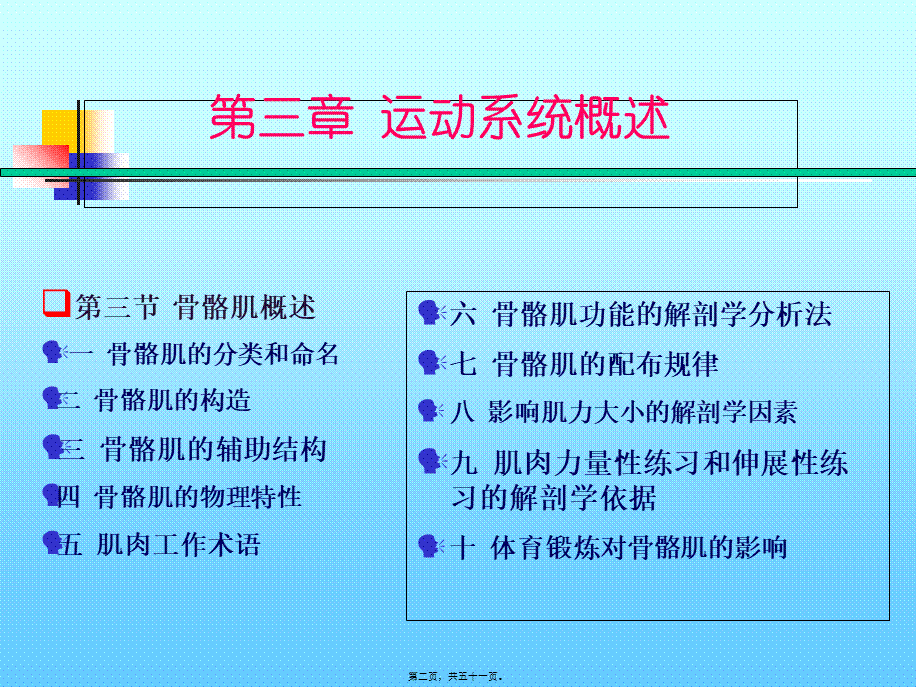 CH3-运动系统4-骨骼肌的概述.pptx_第2页