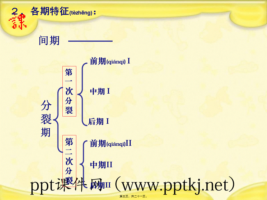 2022年医学专题—细胞的减数分裂.pptx_第3页