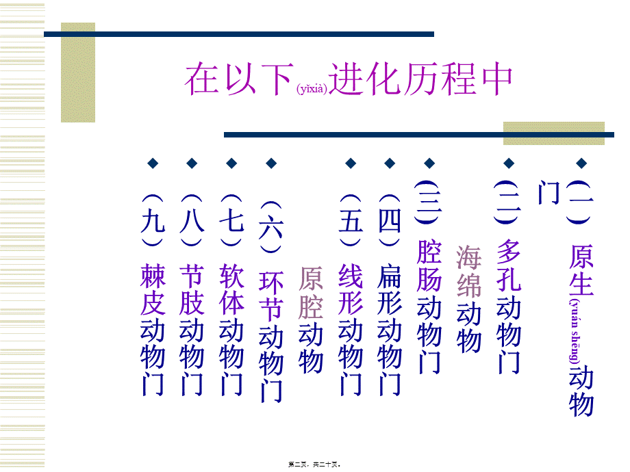 2022年医学专题—无脊椎动物消化系统比较剖析.ppt_第2页