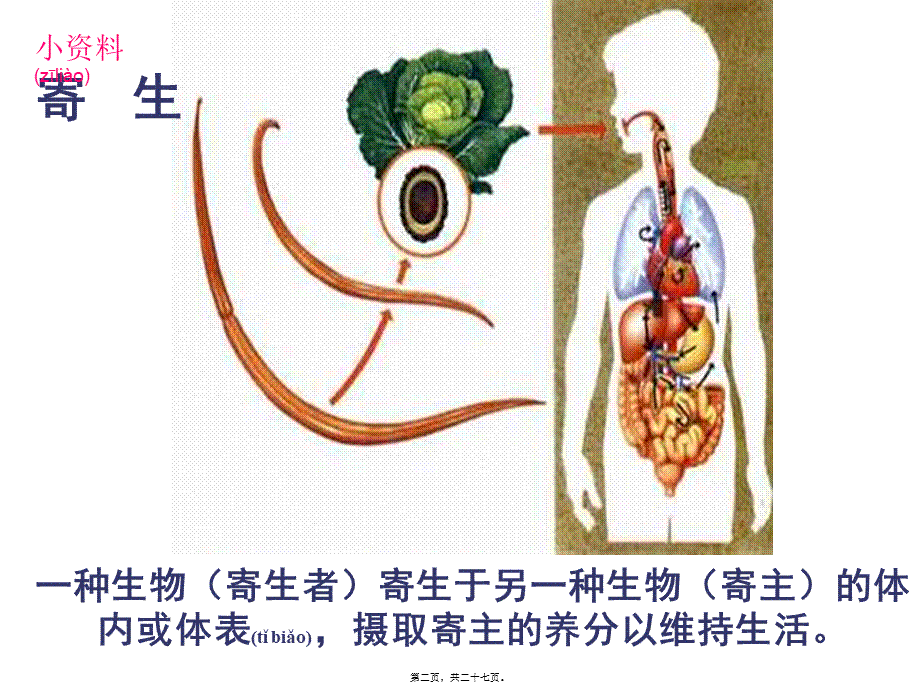 2022年医学专题—肠道寄生虫病.ppt_第2页