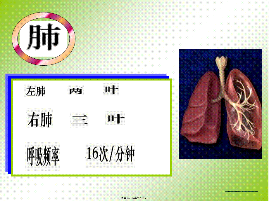 发生在肺里的气体交换.pptx_第3页