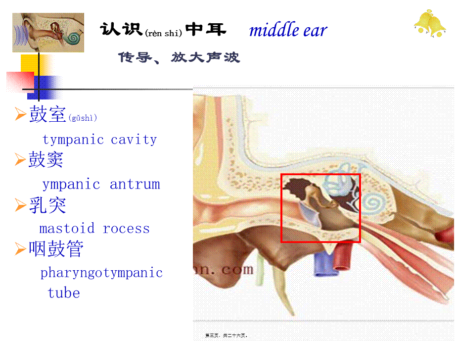 2022年医学专题—慢性中耳病变诊治策略.ppt_第3页