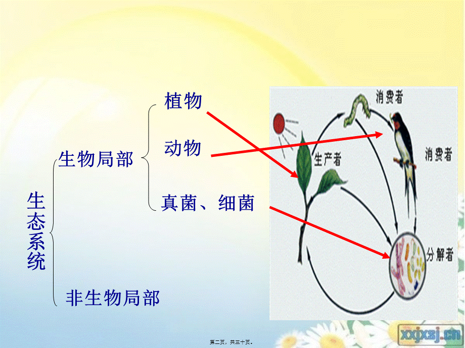 4.1-细菌和真菌的分布ppt.pptx_第2页