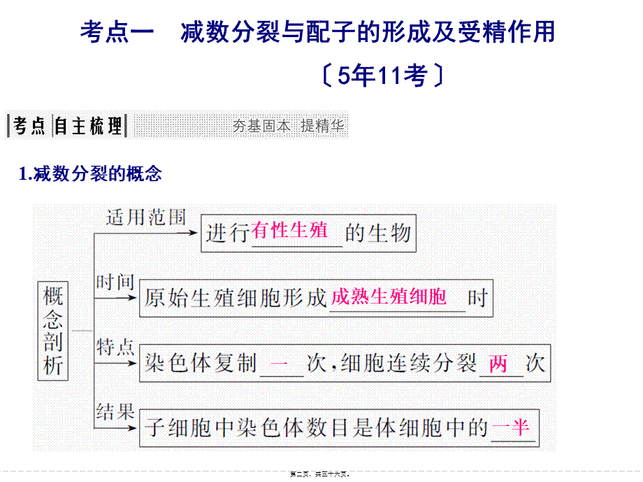 一轮复习动物精子和卵细胞的形成过程.pptx_第2页