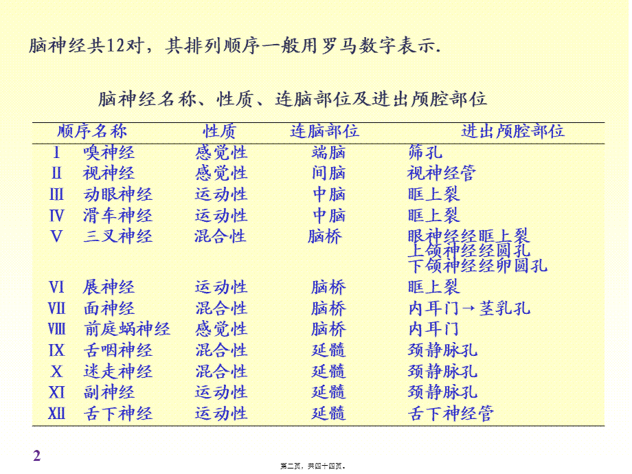 chapter脑神经精讲.pptx_第2页