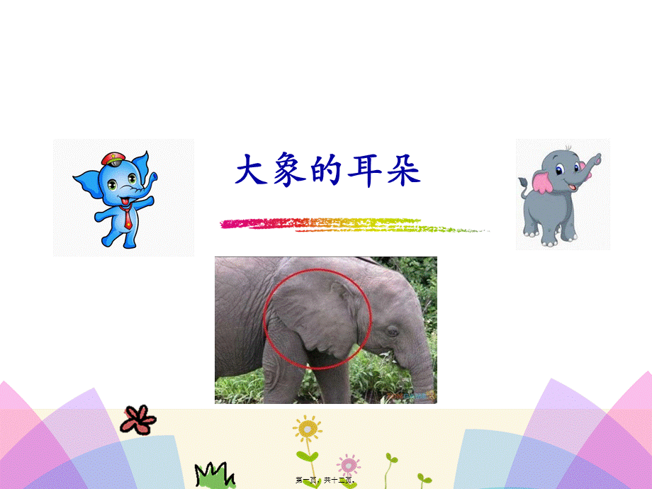 《大象的耳朵》.ppt_第1页