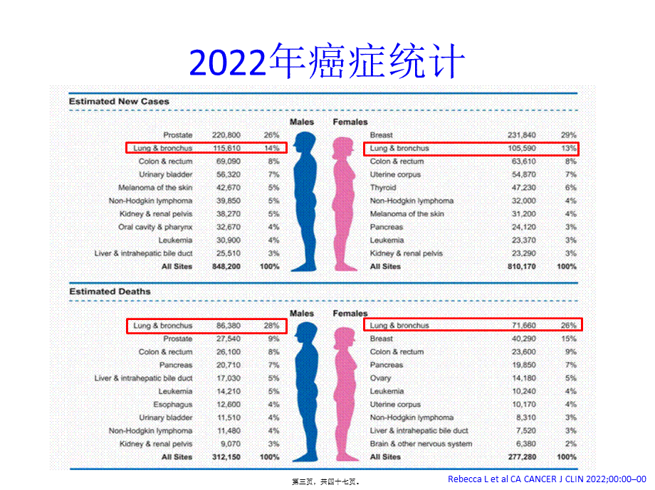 中国肺癌诊疗规范2015版解读.pptx_第3页