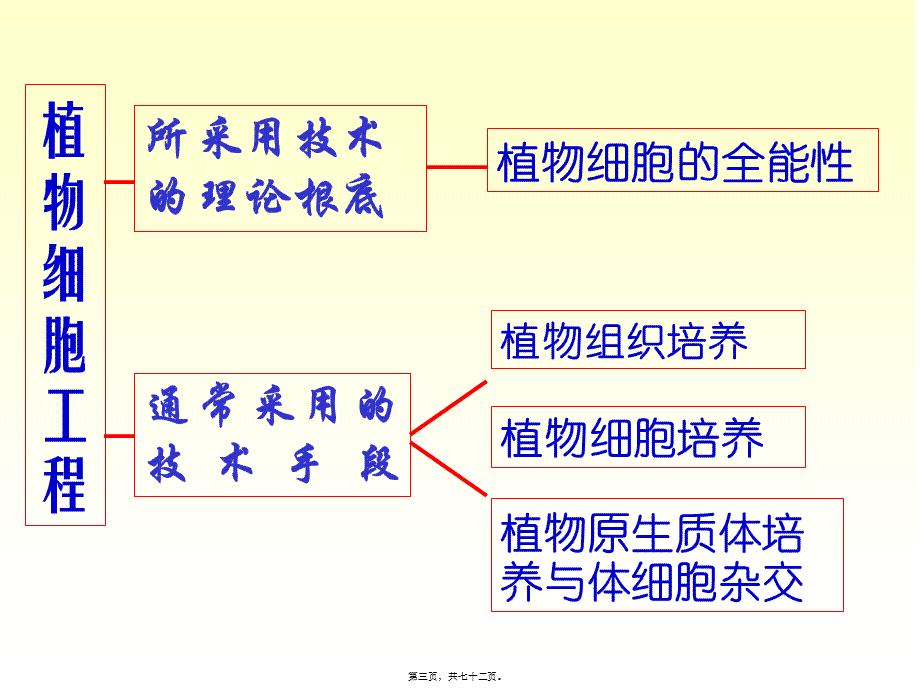 xb四、植物组织与细胞培养.pptx_第3页