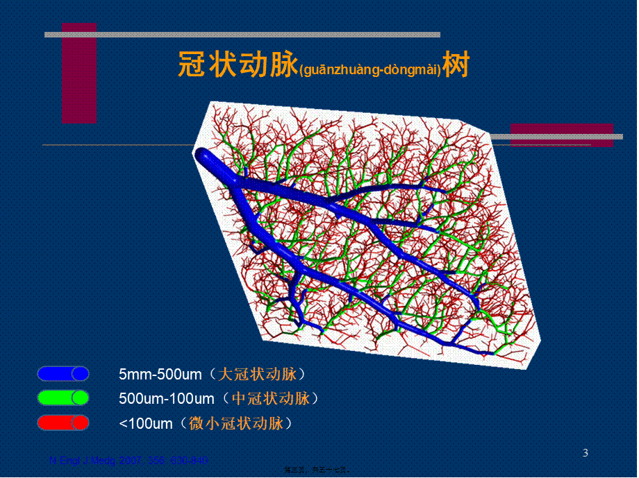 2022年医学专题—冠状动脉微血管病变及对策.ppt_第3页