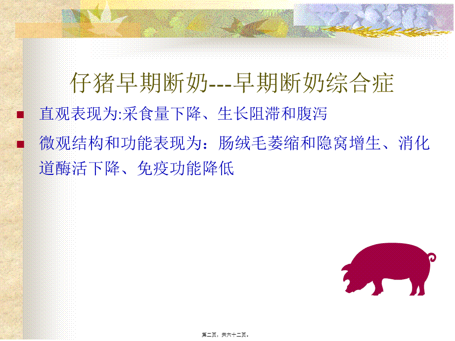 仔猪营养知识.pptx_第2页