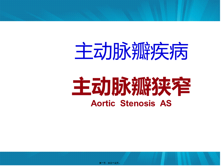 主动脉瓣+肺动脉瓣.ppt_第1页