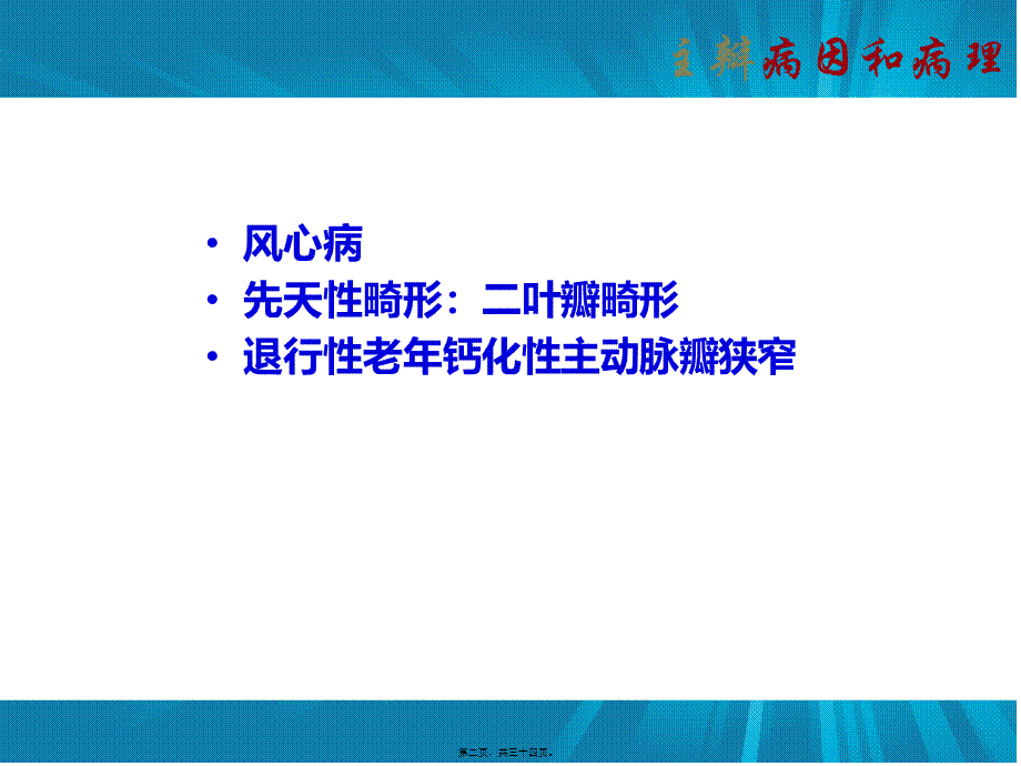 主动脉瓣+肺动脉瓣.ppt_第2页