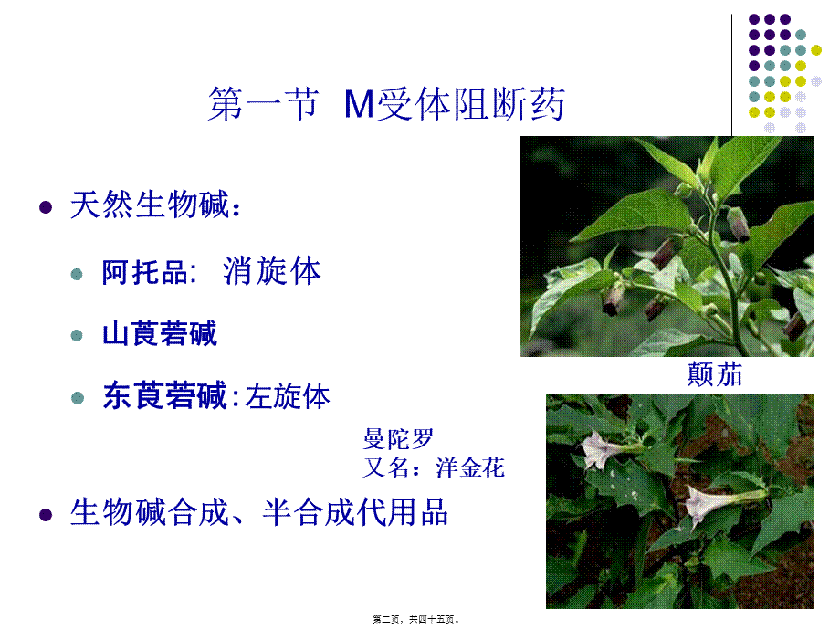 wxr2-2010胆碱受体阻断药.pptx_第2页