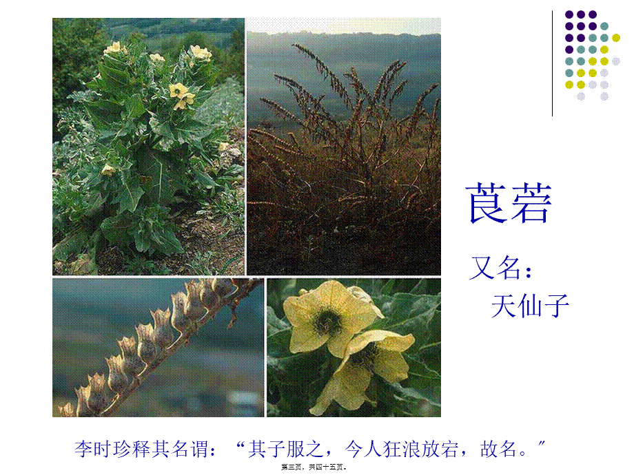 wxr2-2010胆碱受体阻断药.pptx_第3页