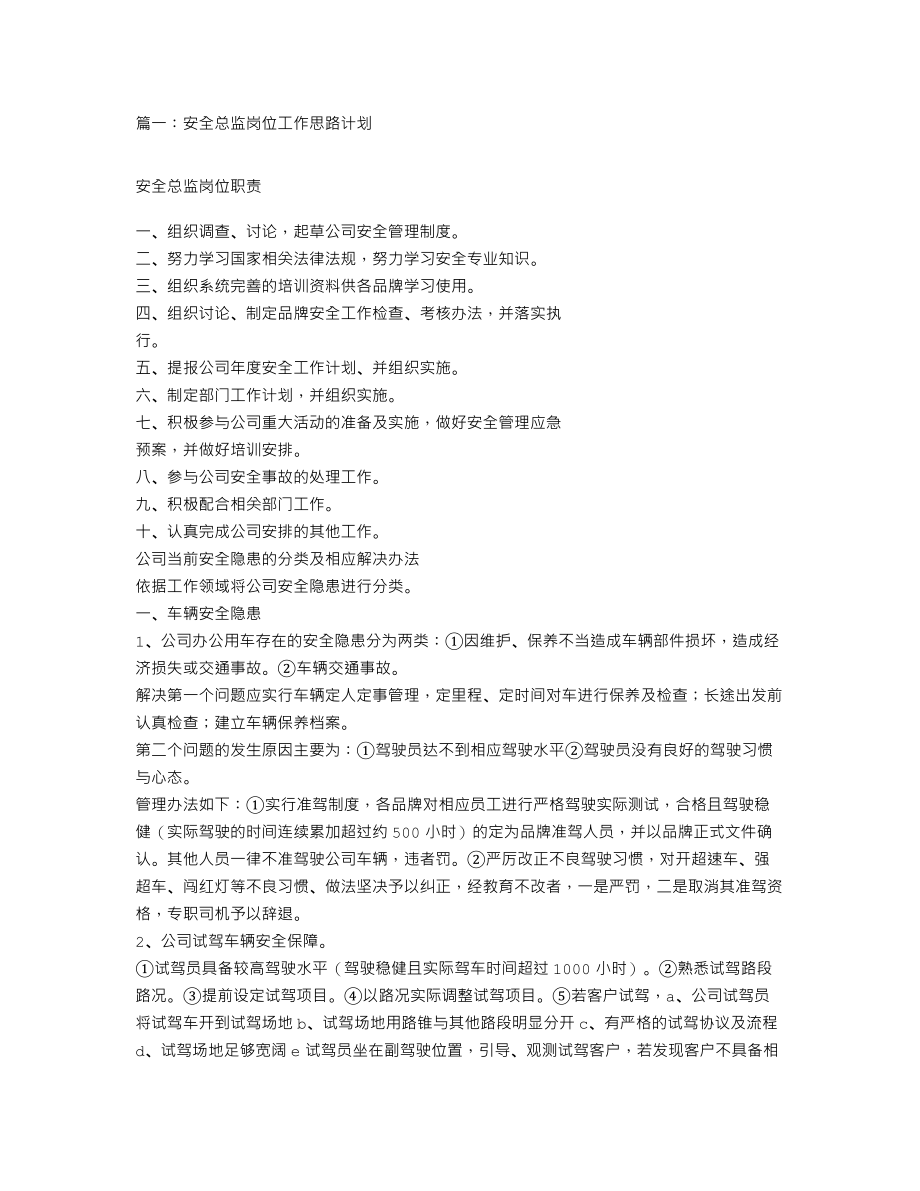 安全总监工作思路计划.doc_第1页