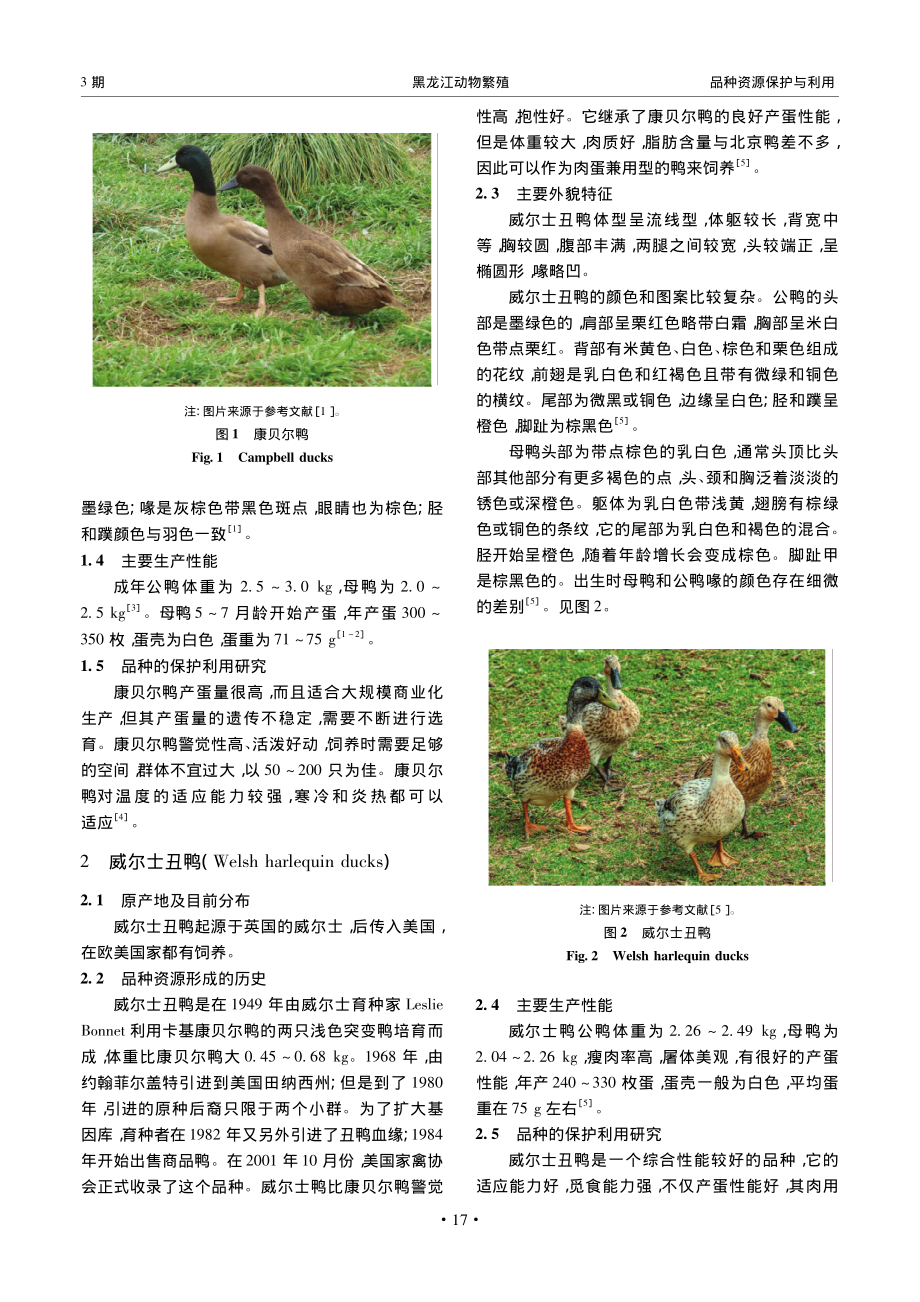 国外蛋鸭遗传资源现状与利用_芦燕.pdf_第2页