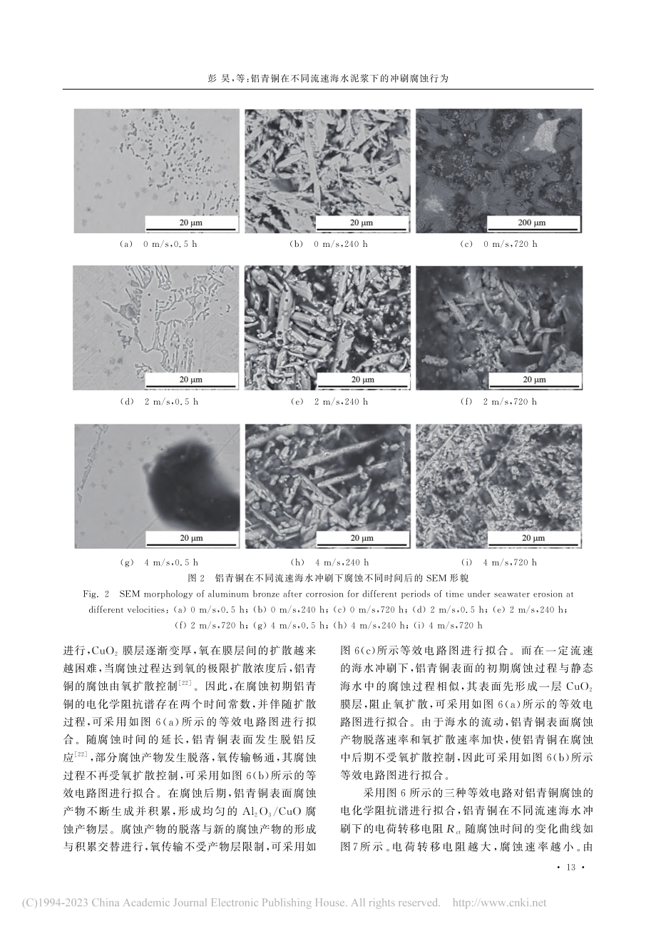 铝青铜在不同流速海水泥浆下的冲刷腐蚀行为_彭昊.pdf_第3页