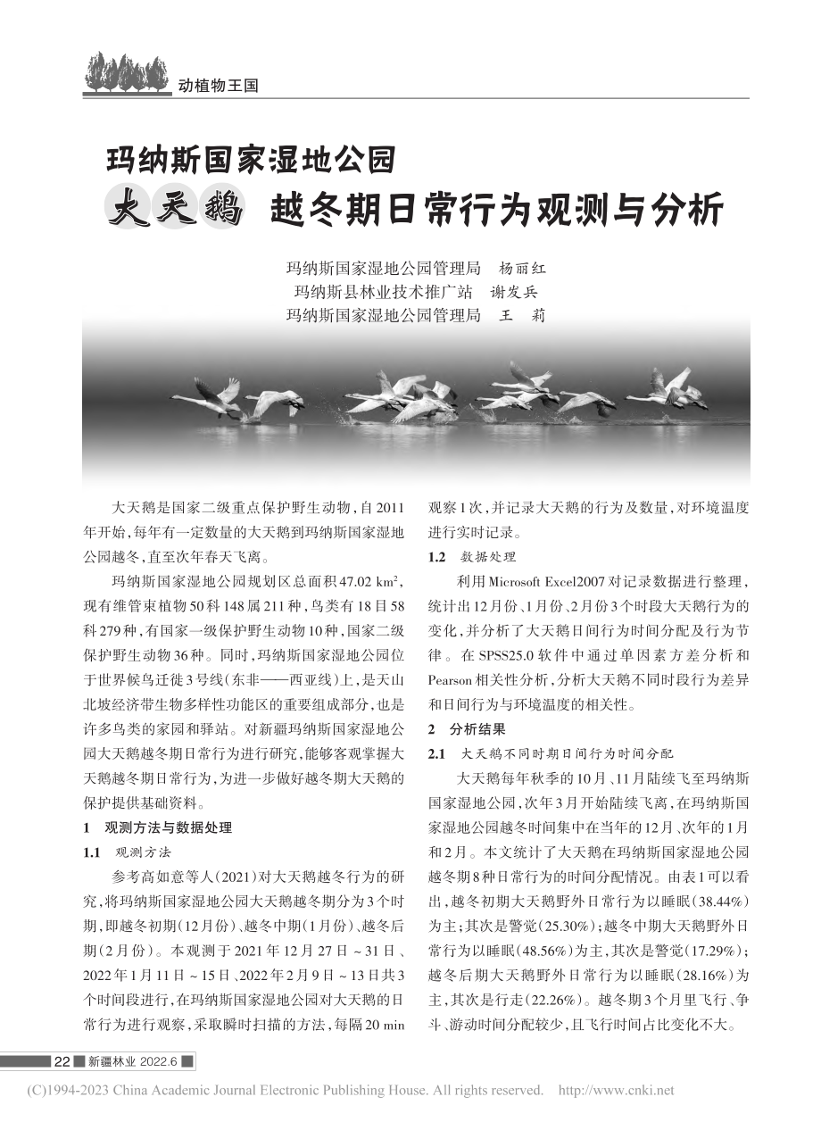 玛纳斯国家湿地公园大天鹅越冬期日常行为观测与分析_杨丽红.pdf_第1页