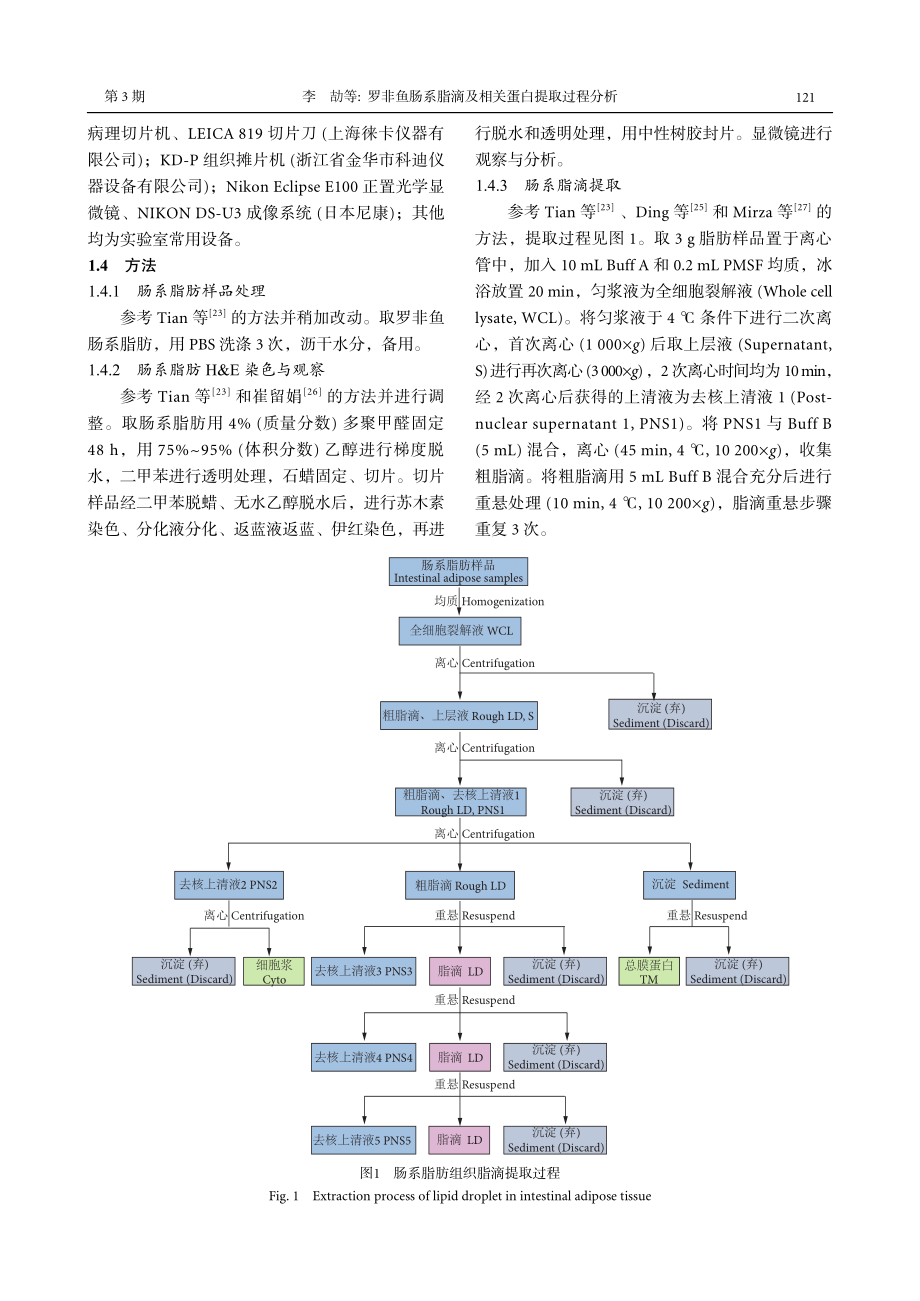 罗非鱼肠系脂滴及相关蛋白提取过程分析_李劼.pdf_第3页