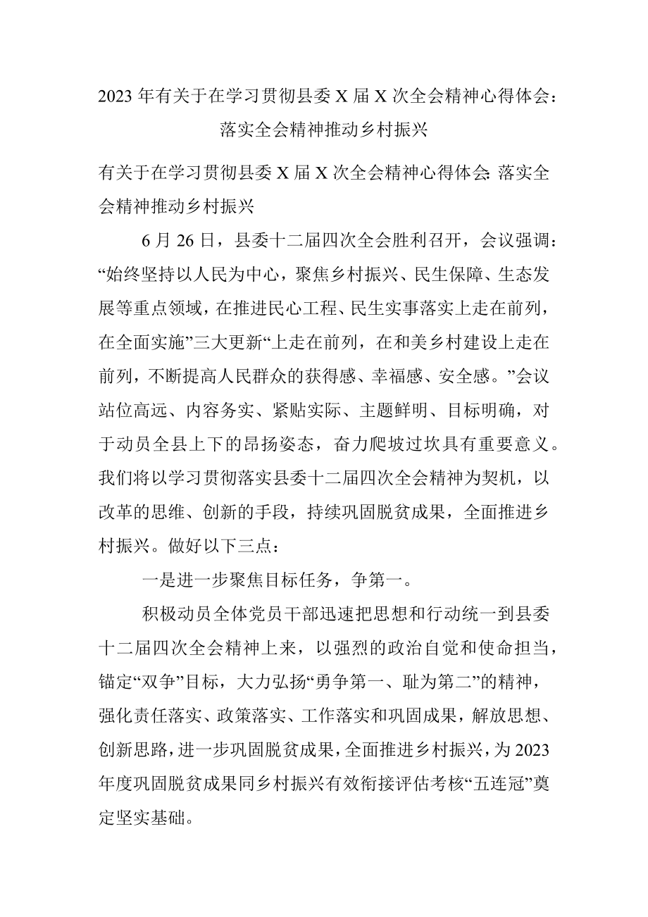 2023年有关于在学习贯彻县委X届X次全会精神心得体会：落实全会精神推动乡村振兴.docx_第1页