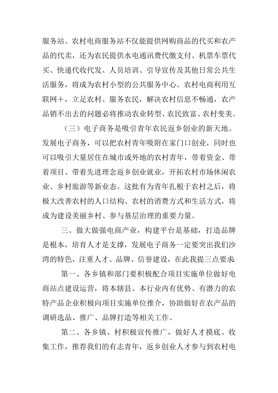 2023年关于省级电子商务产业发展示范县项目工作会上的讲话.docx_第3页