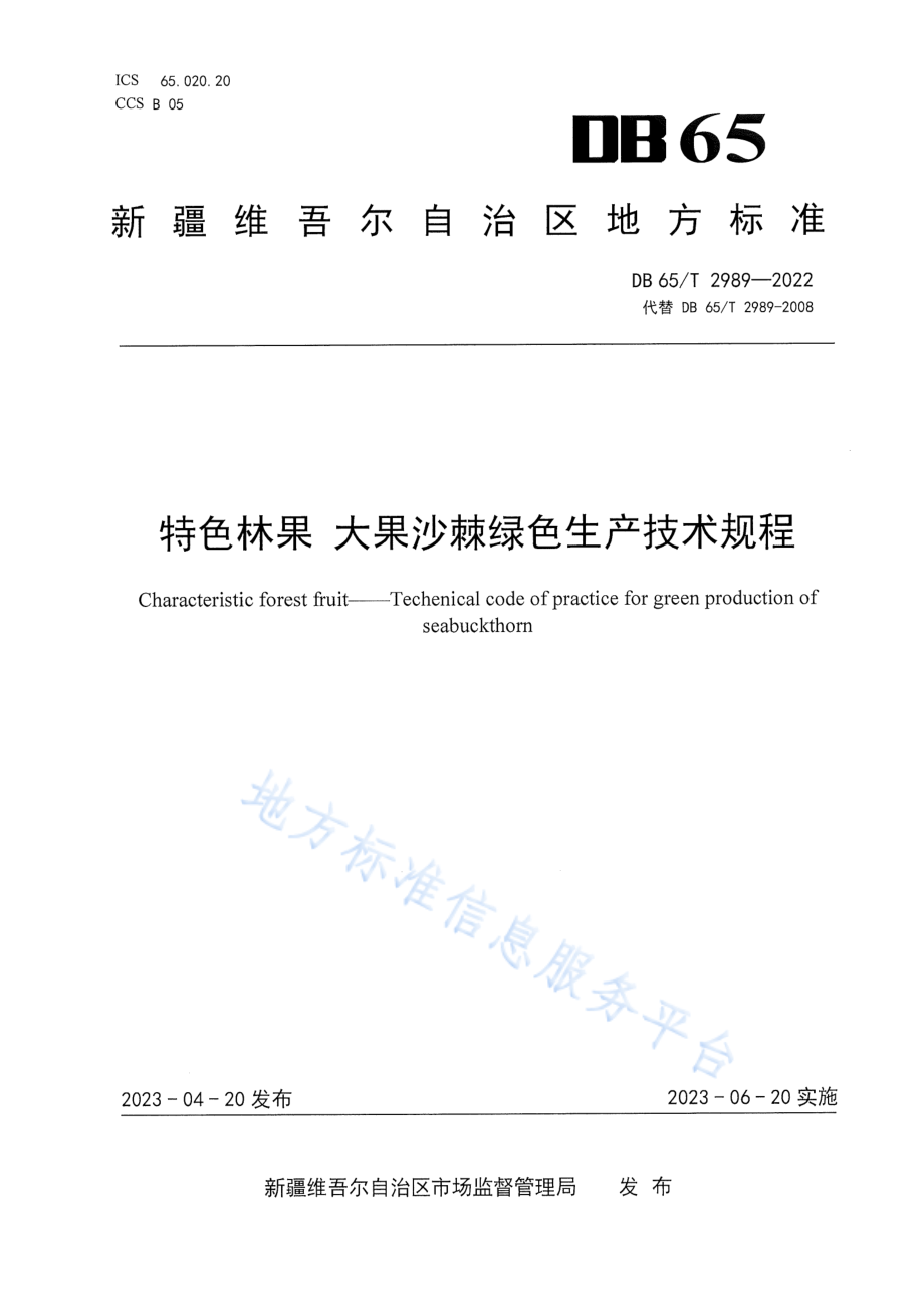 DB65T 2989-2022 特色林果 大果沙棘绿色生产技术规程.pdf_第1页