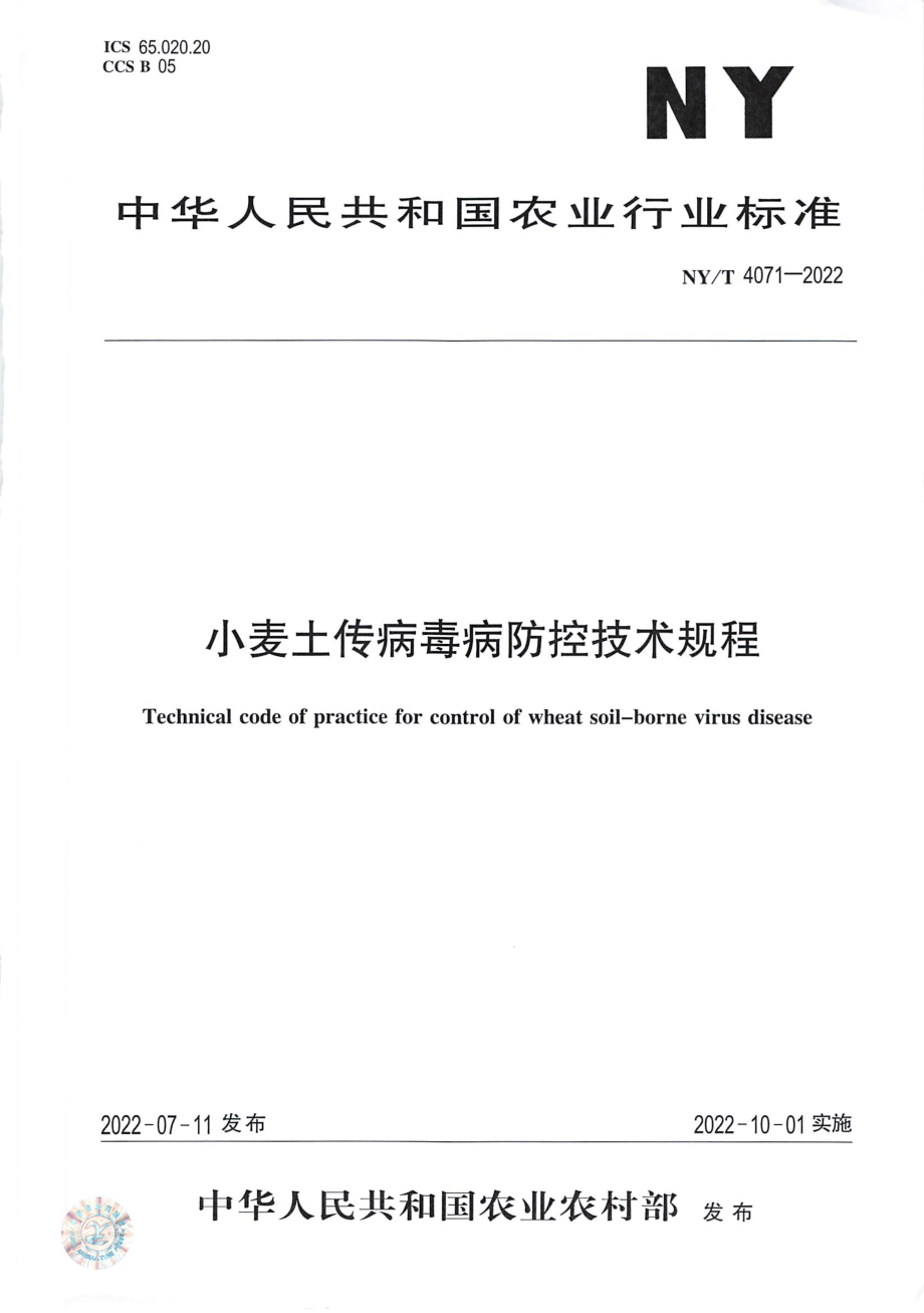 NYT 4071-2022 小麦土传病毒病防控技术规程.pdf_第1页