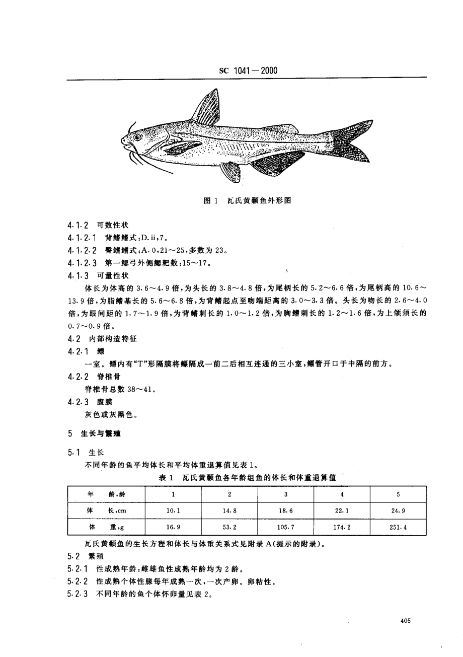 SC 1041-2000 瓦氏黄颡鱼.pdf_第3页