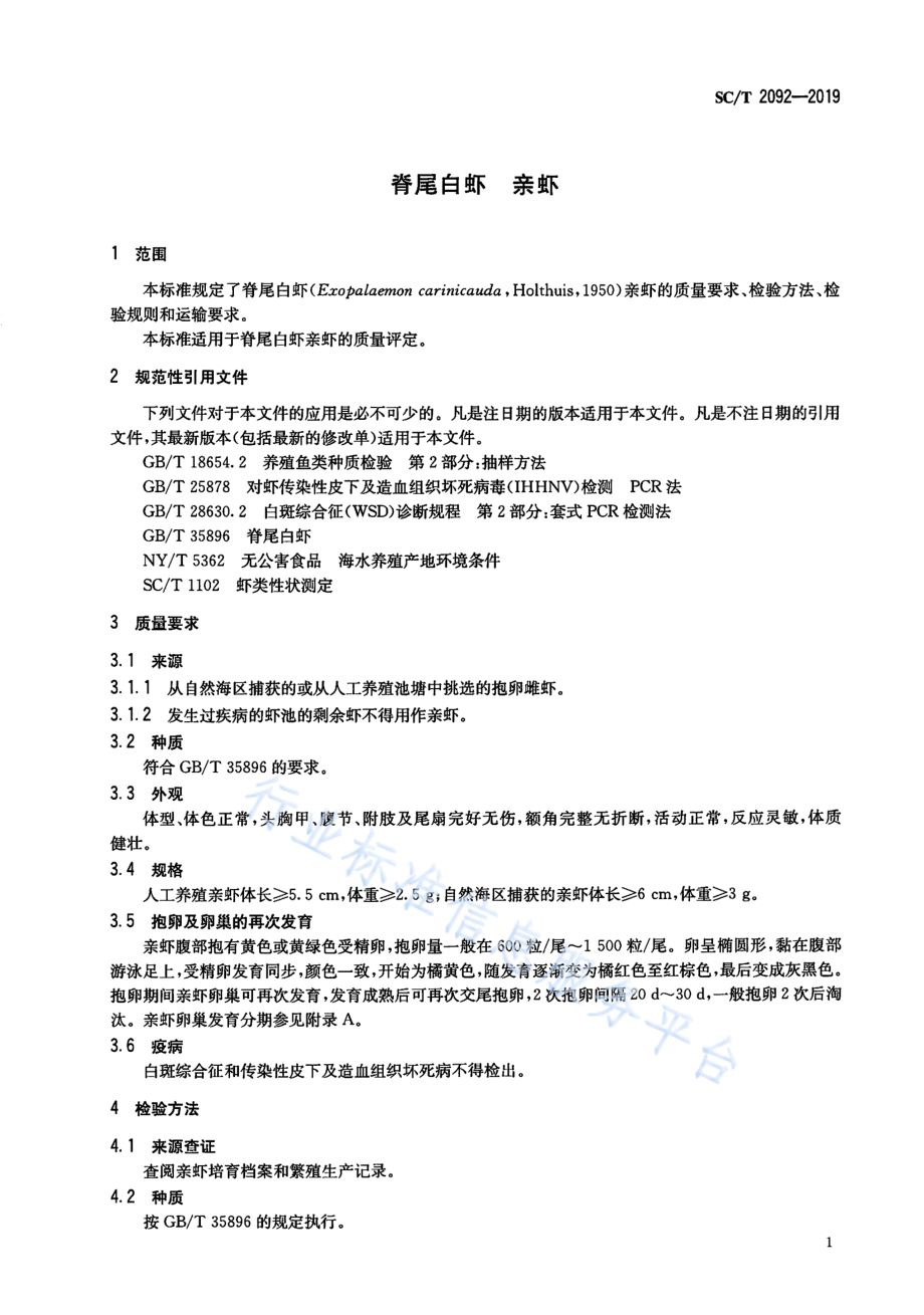 SCT 2092-2019 脊尾白虾 亲虾.pdf_第3页