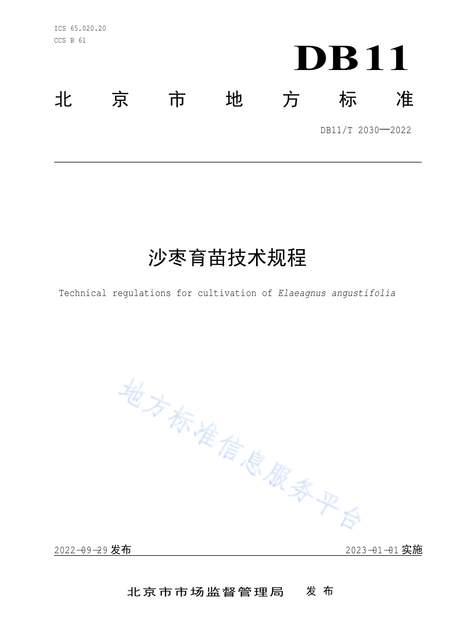 DB11T 2030-2022 沙枣育苗技术规程.pdf_第1页