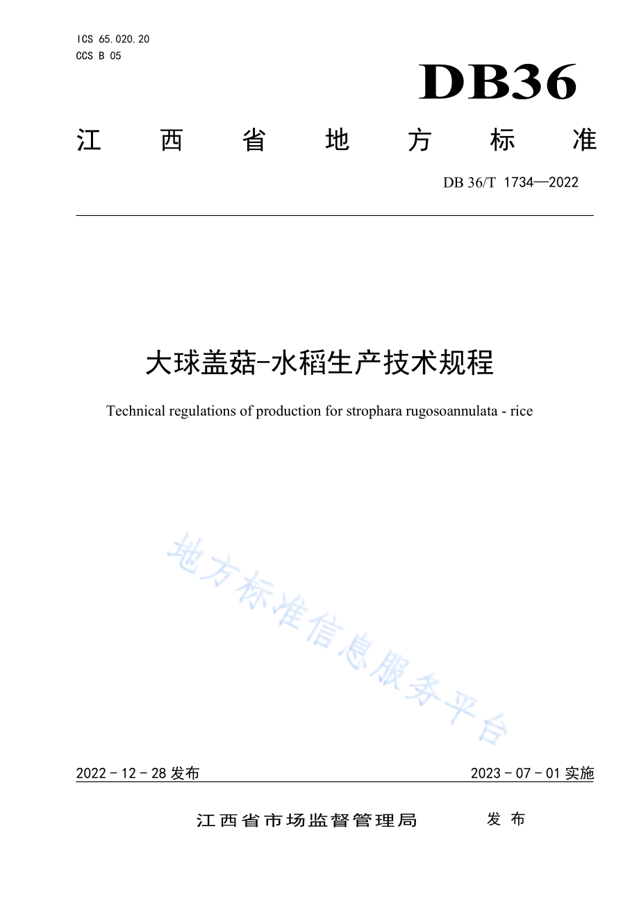 DB36T 1734-2022 大球盖菇-水稻生产技术规程.pdf_第1页