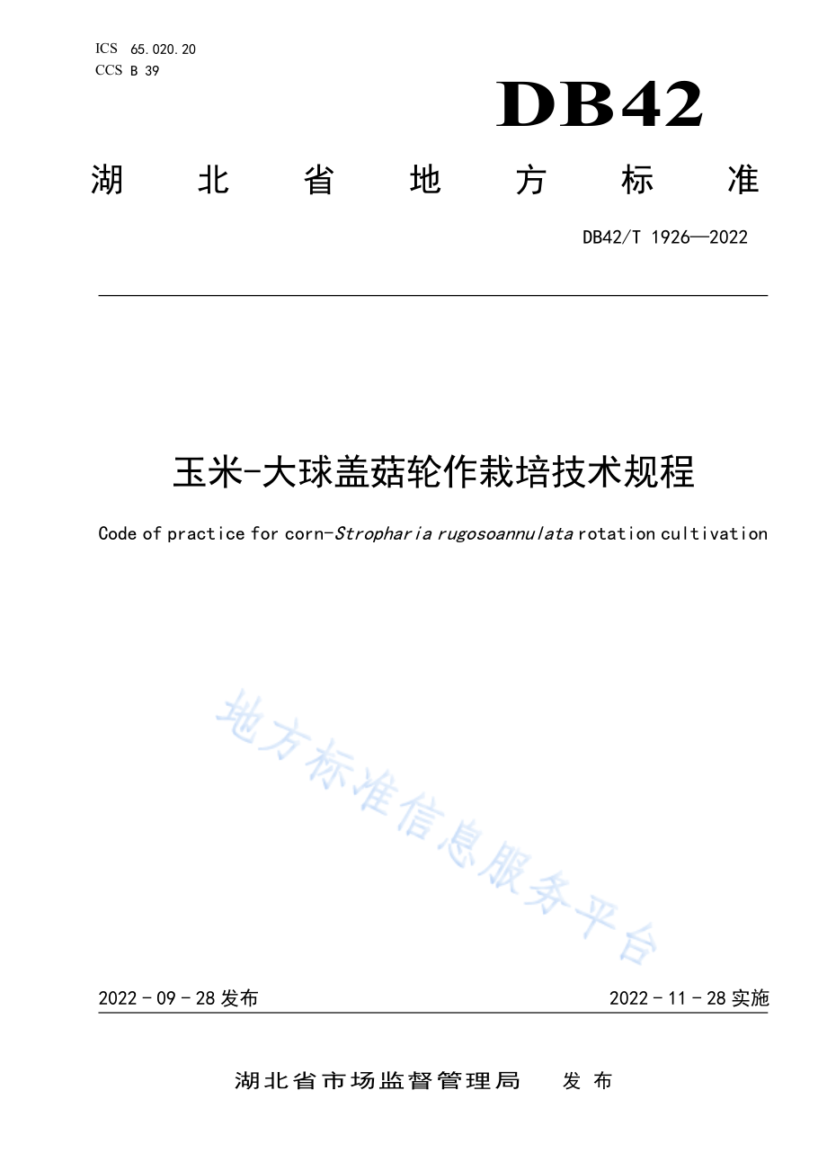 DB42T 1926-2022 玉米-大球盖菇轮作栽培技术规程.pdf_第1页