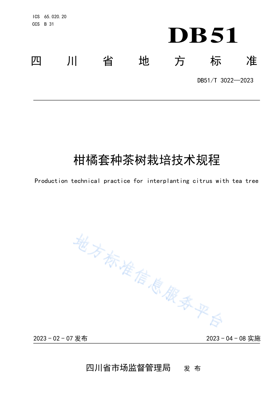 DB51T 3022-2023 柑橘套种茶树栽培技术规程.pdf_第1页