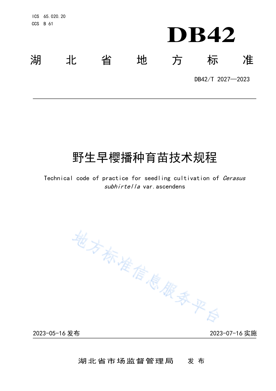 DB42T 2027-2023 野生早樱播种育苗技术规程.pdf_第1页