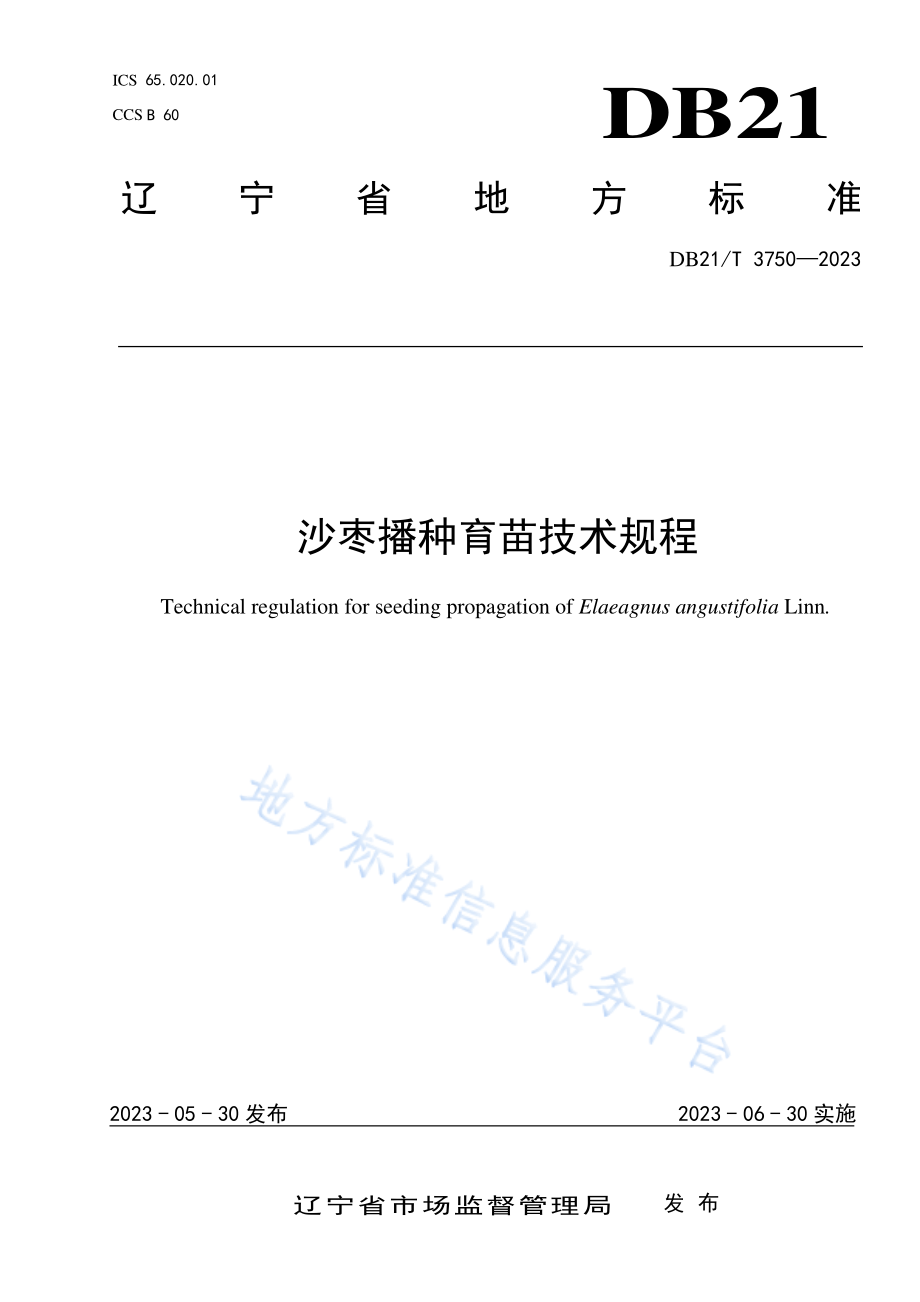 DB21T 3750-2023 沙枣播种育苗技术规程.pdf_第1页