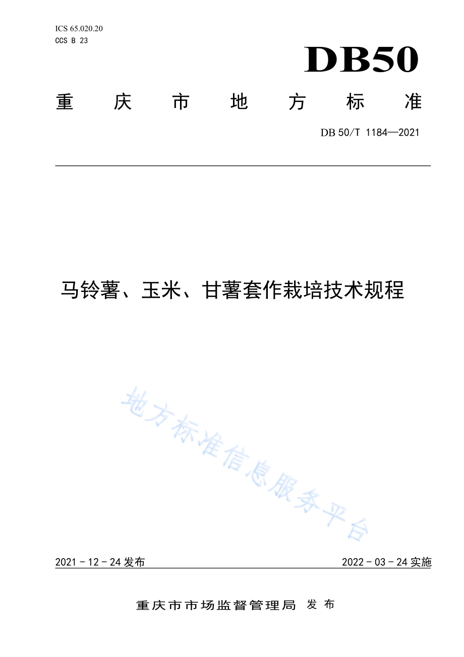 DB50T 1184-2021 马铃薯、玉米、甘薯套作栽培技术规程.pdf_第1页