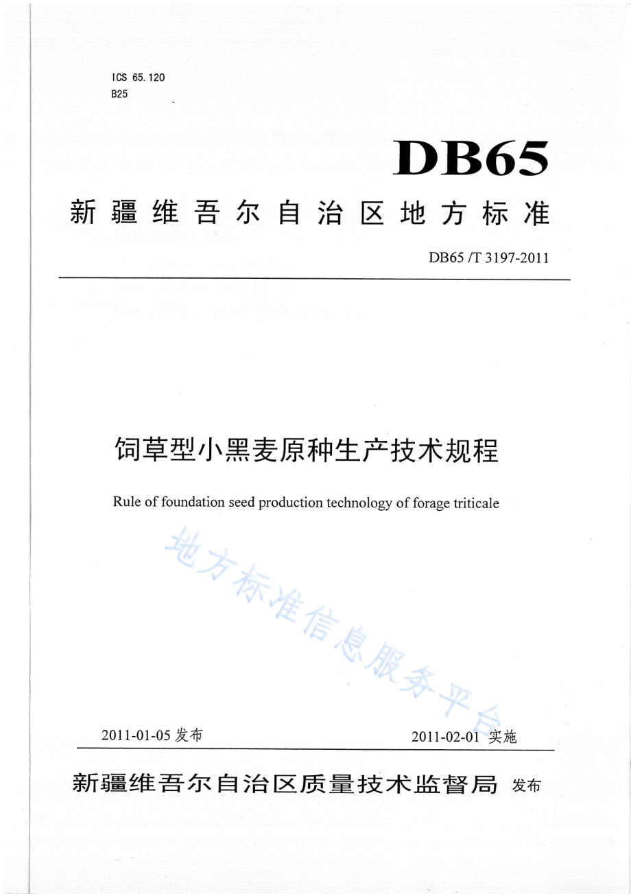 DB65T 3197-2011 饲草型小黑麦原种生产技术规程.pdf_第1页