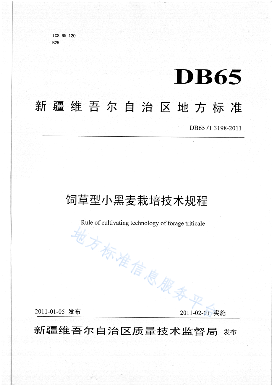 DB65T 3198-2011 饲草型小黑麦栽培技术规程.pdf_第1页