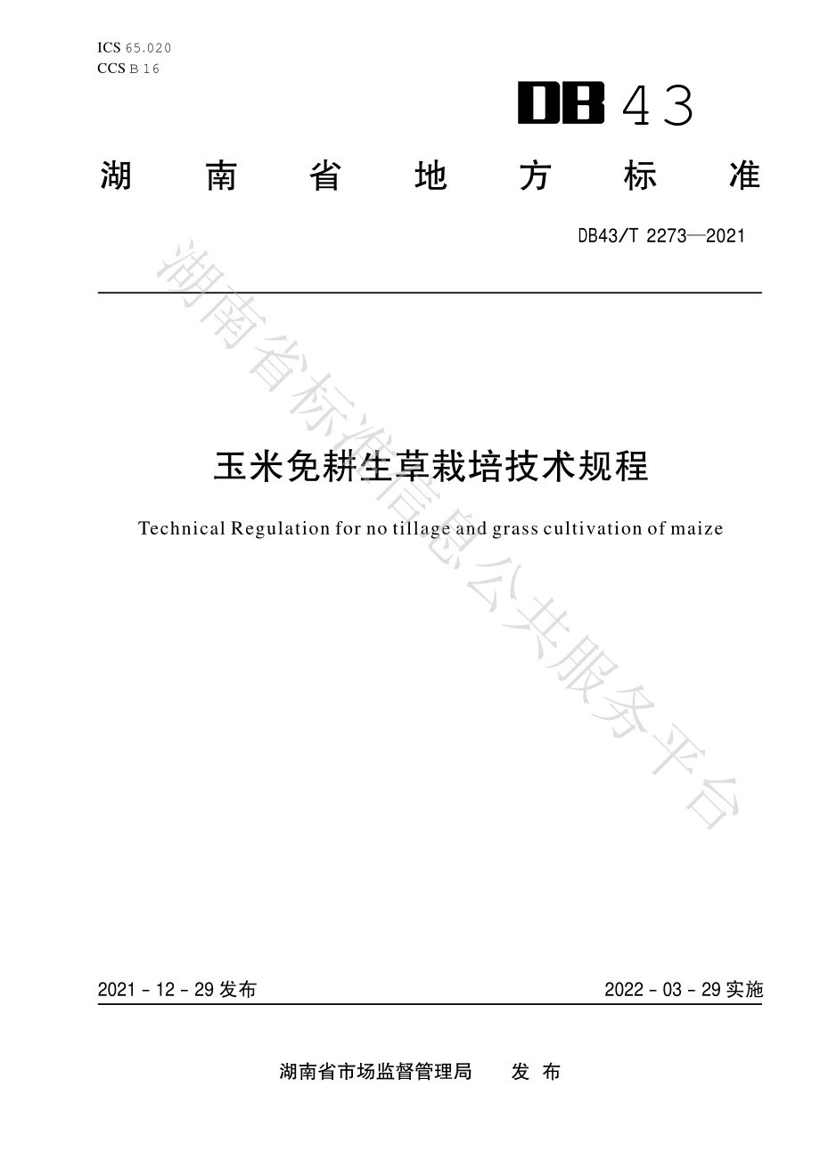 DB43T 2273-2021 玉米免耕生草栽培技术规程.pdf_第1页