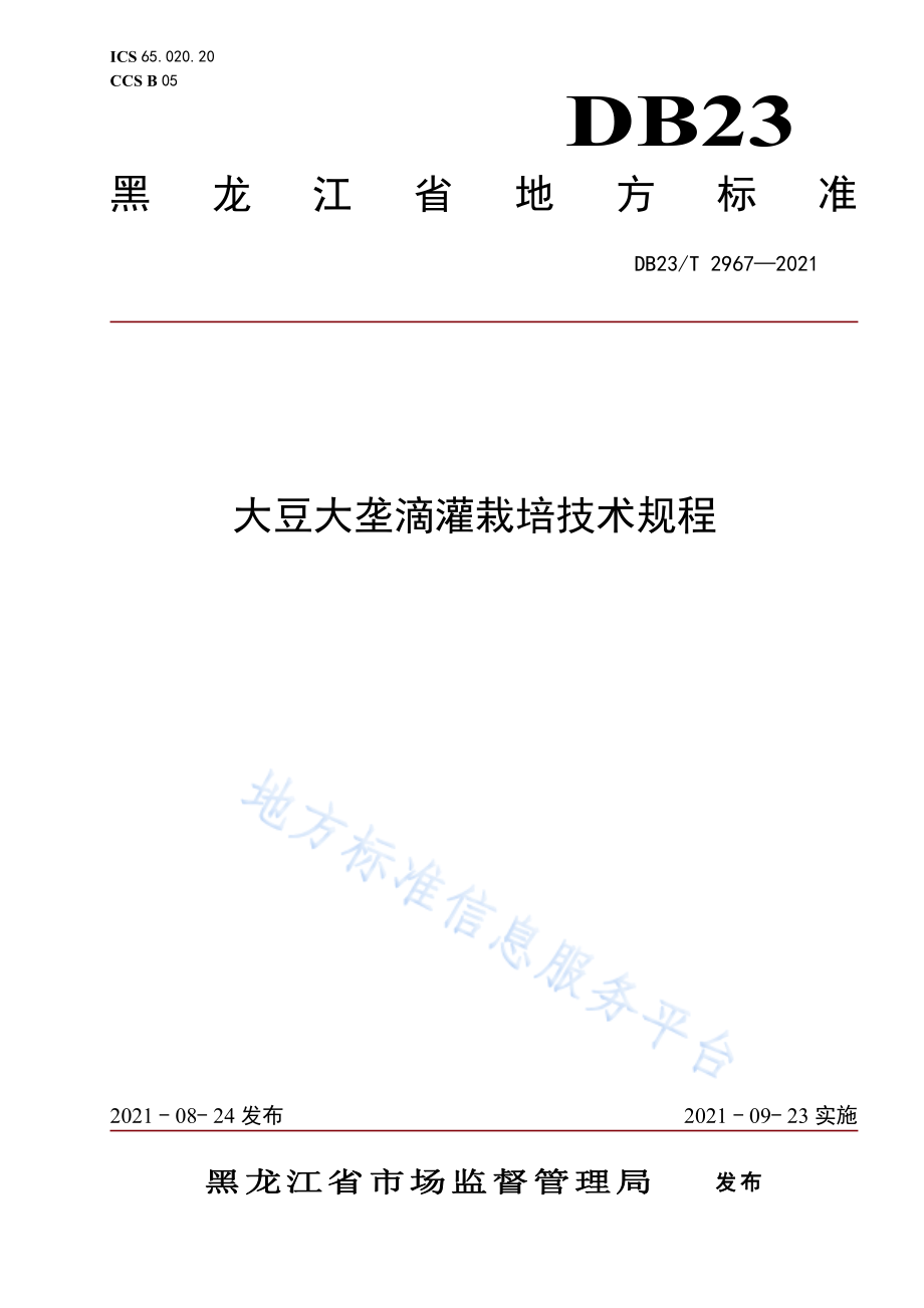 DB23T 2967-2021 大豆大垄滴灌栽培技术规程.pdf_第1页