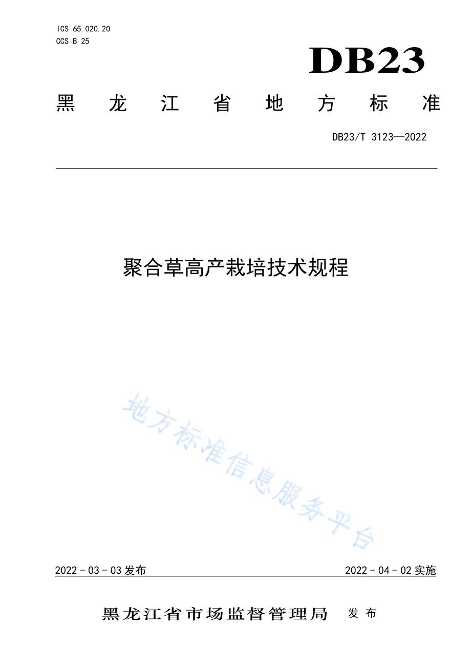 DB23T 3123-2022 聚合草高产栽培技术规程.pdf_第1页